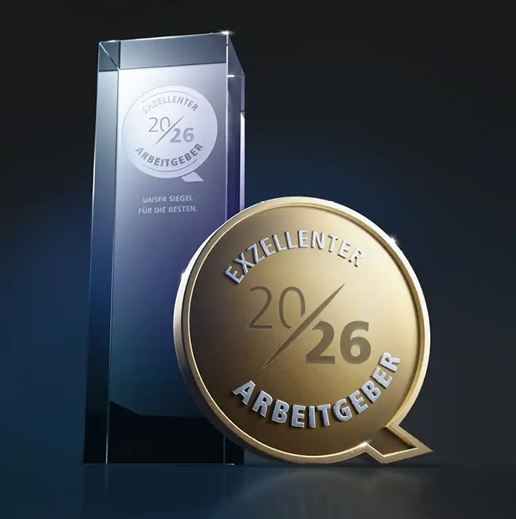 Icon für Karriere. Eine Strichfigur steht auf einem Berg und streckt die Hände in die Höhe.